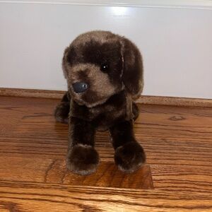 Douglas Cocoa brown labrador